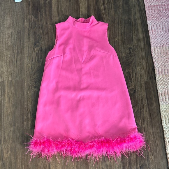 Dresses & Skirts - Pink Sleeveless Dress with Feather Trim